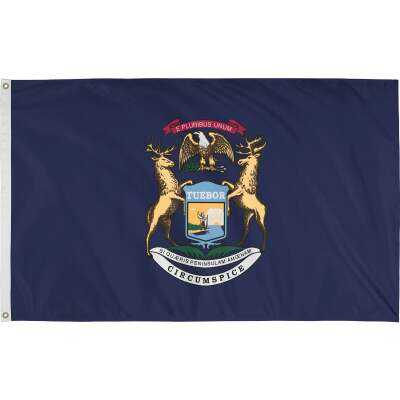 Valley Forge 3 Ft. x 5 Ft. Nylon Michigan State Flag